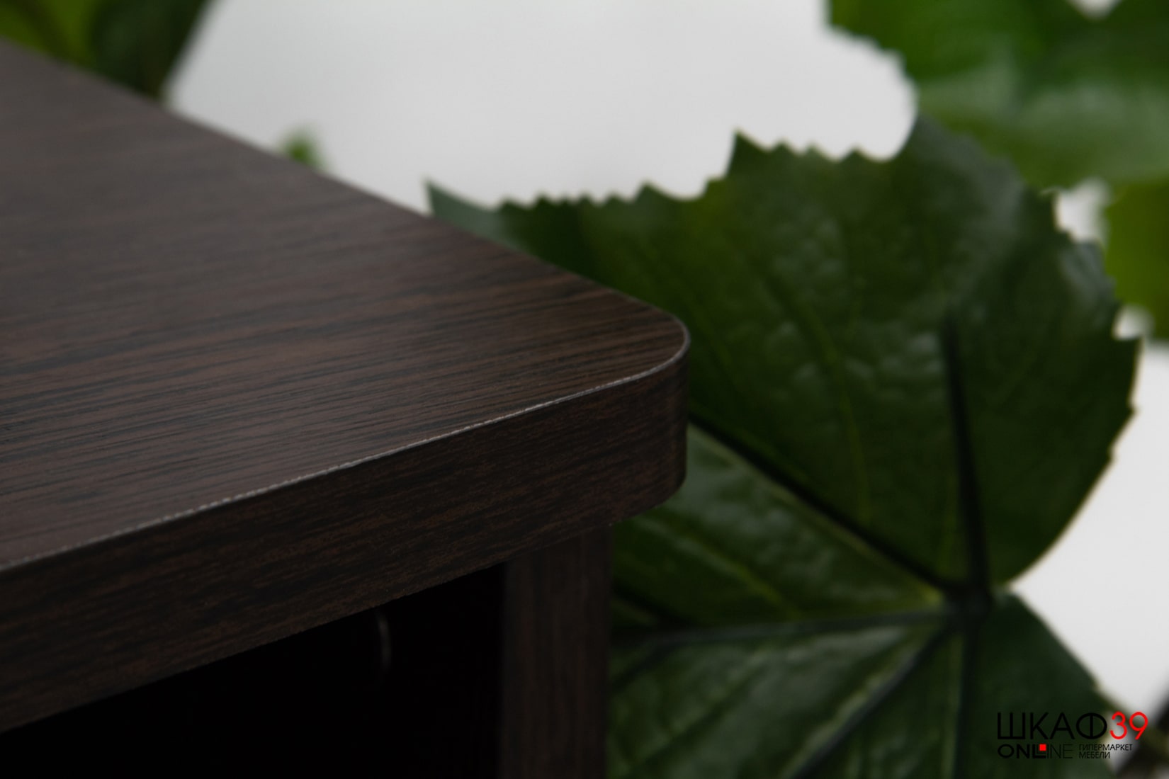 Центральная секция Флоренция