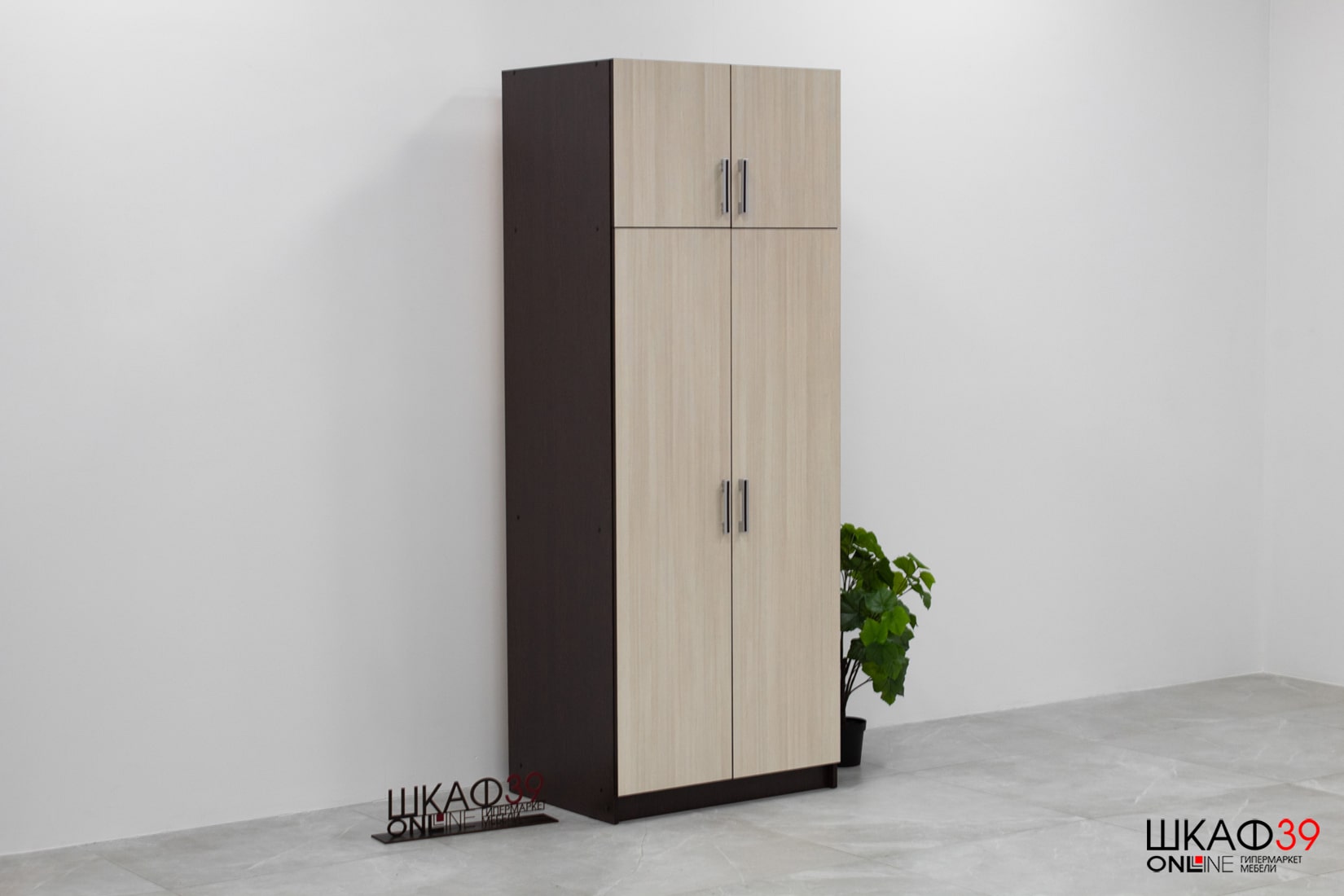 Шкаф 2-х створчатый с перегородкой BTS, венге