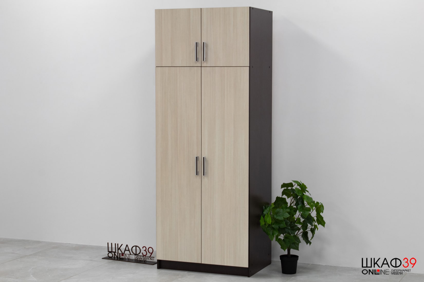 Шкаф 2-х створчатый с перегородкой BTS, венге