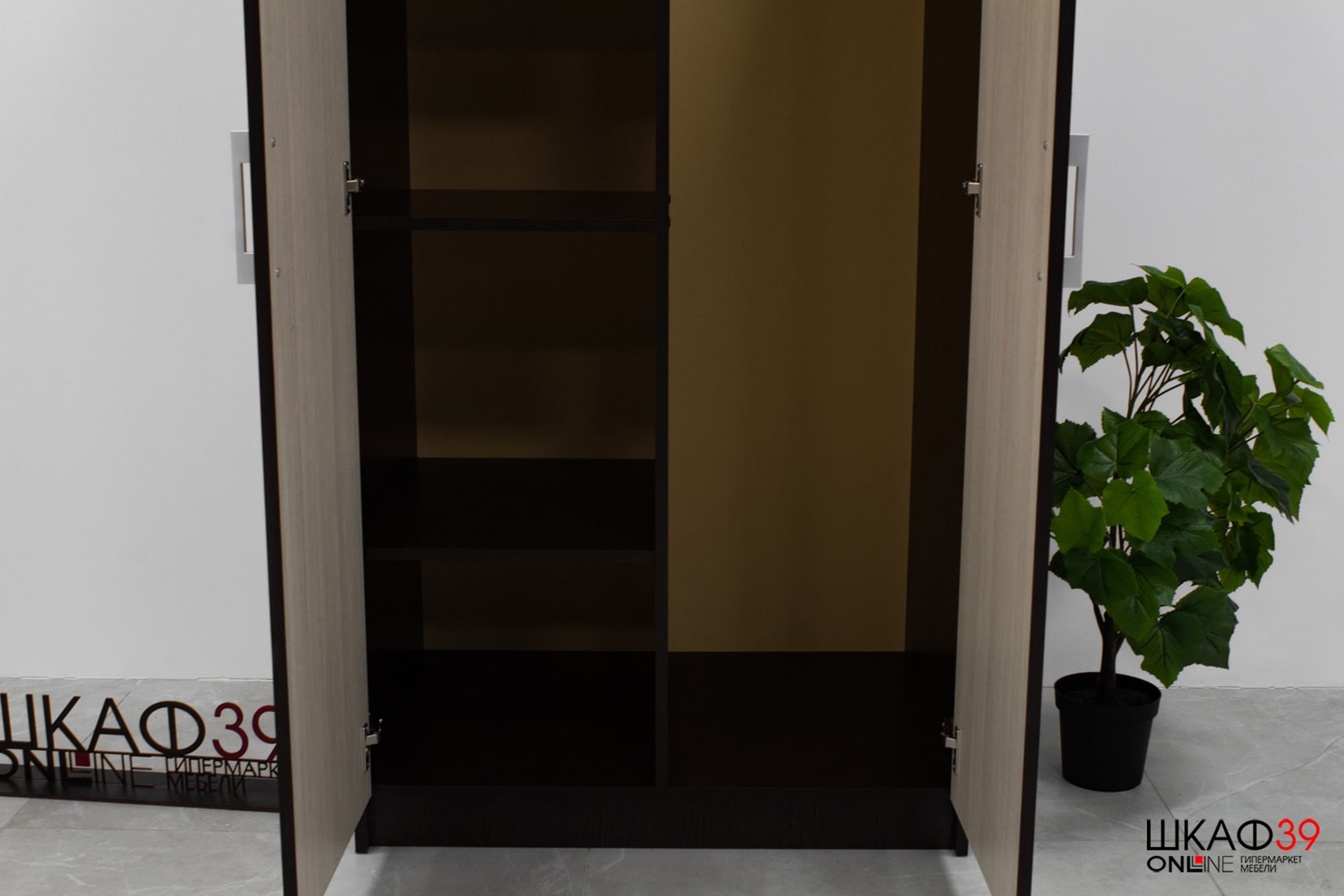 Шкаф 2-х створчатый с перегородкой BTS, венге