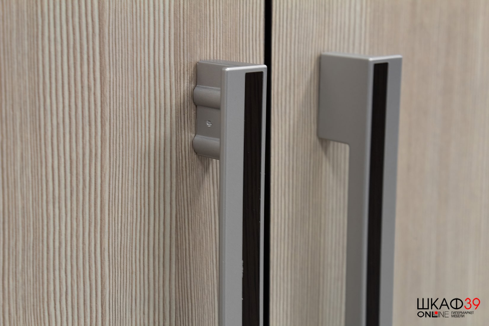 Шкаф 2-х створчатый с перегородкой BTS, венге