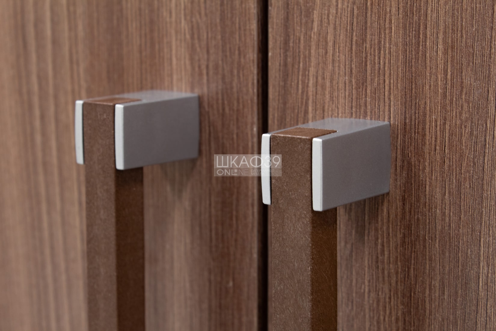 Шкаф 2-х ств. с перегородкой ясень шимо