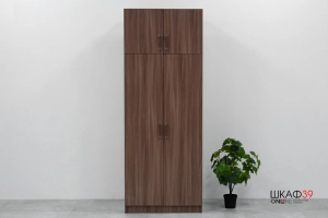 Шкаф 2-х ств. с перегородкой ясень шимо