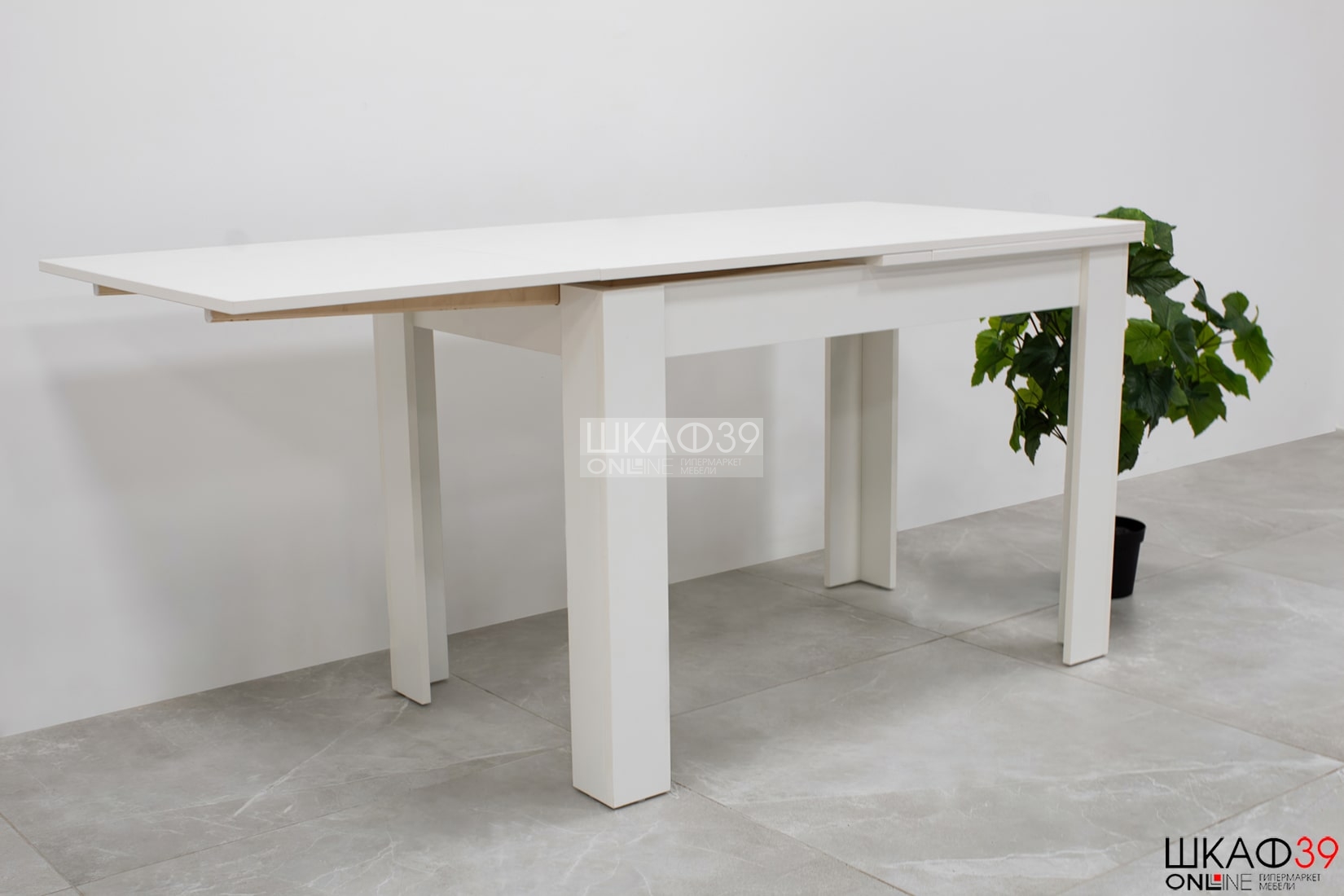 Промо тип 4 Стол раздвижной (Белый/Белый)