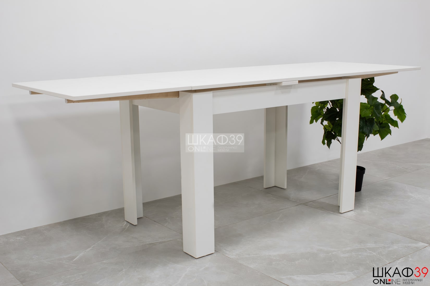 Промо тип 4 Стол раздвижной (Белый/Белый)