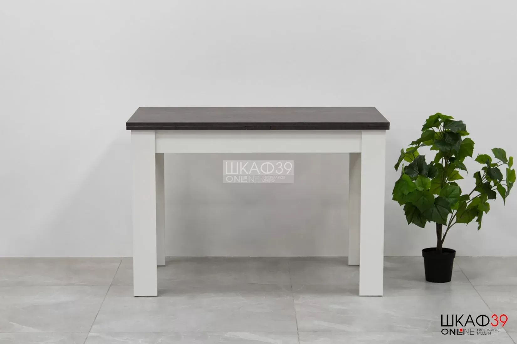 Промо тип 4 Стол раздвижной (Белый/Ателье темный)