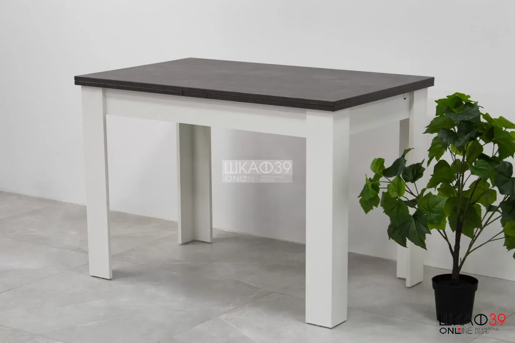 Промо тип 4 Стол раздвижной (Белый/Ателье темный)