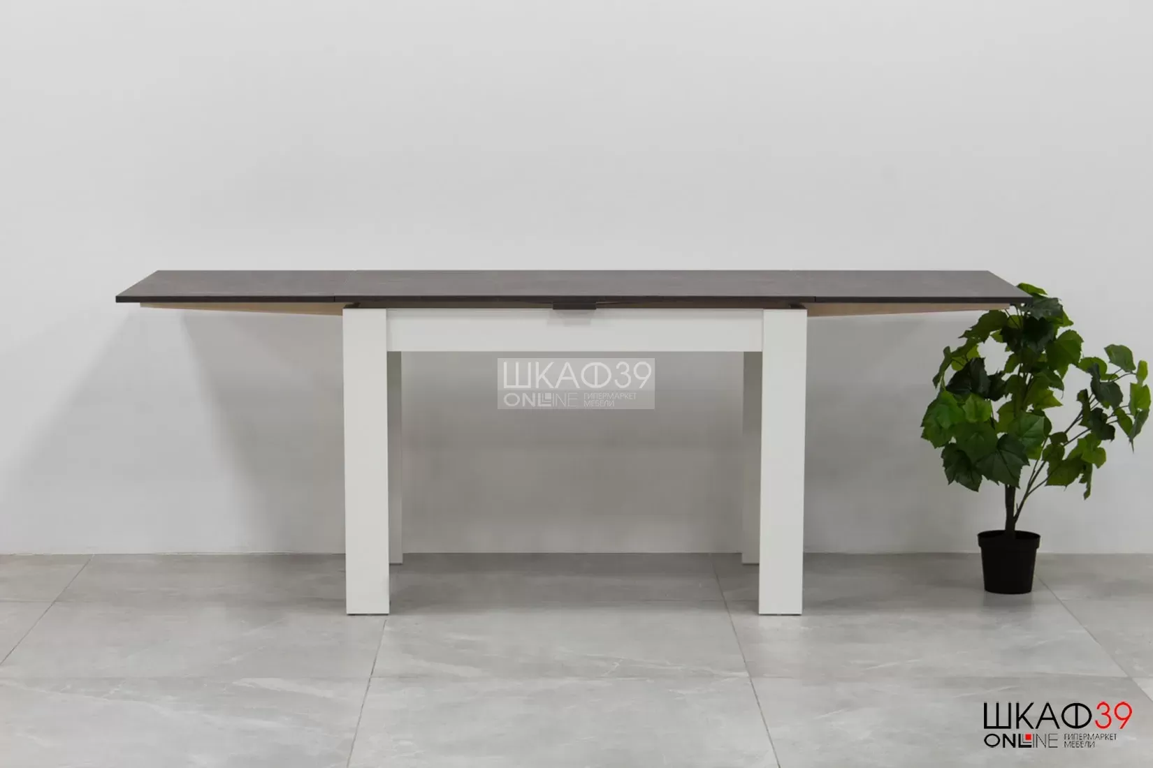 Промо тип 4 Стол раздвижной (Белый/Ателье темный)
