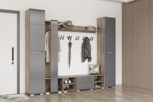 Наоми Прихожая Комплект 1 Дуб каньон/Графит нубук