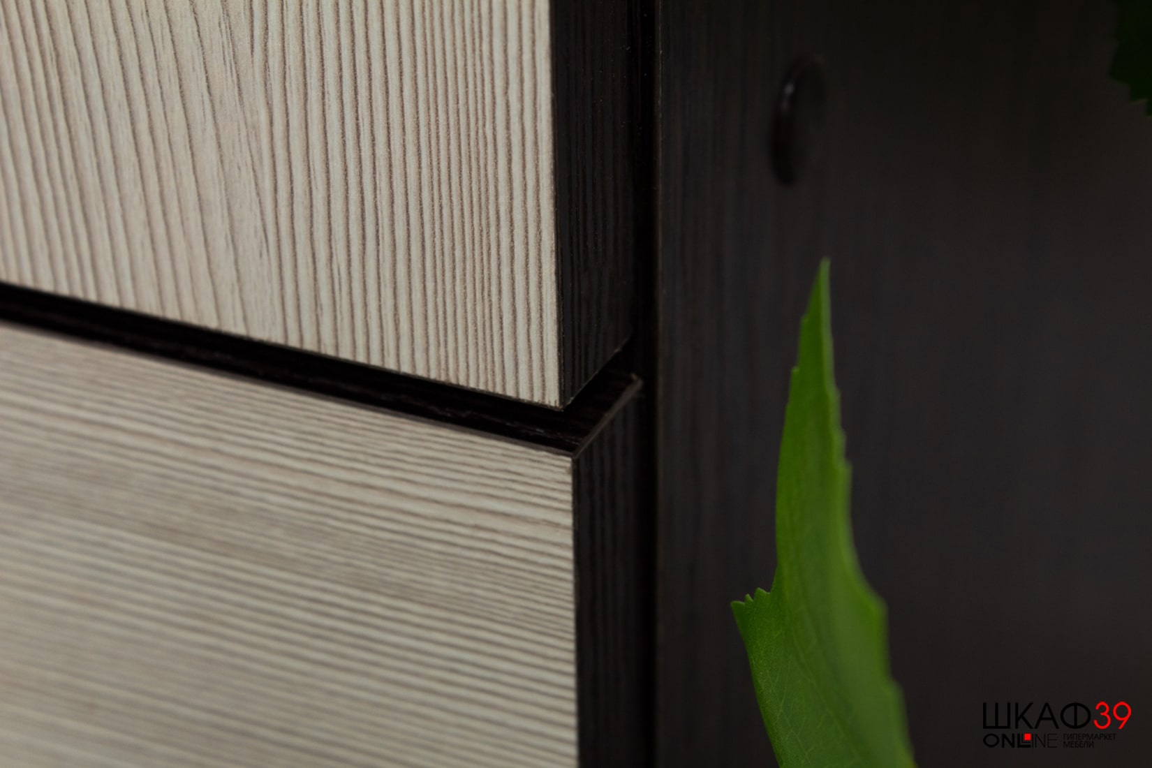 Шкаф ДУЭТ платяной Венге/лоредо