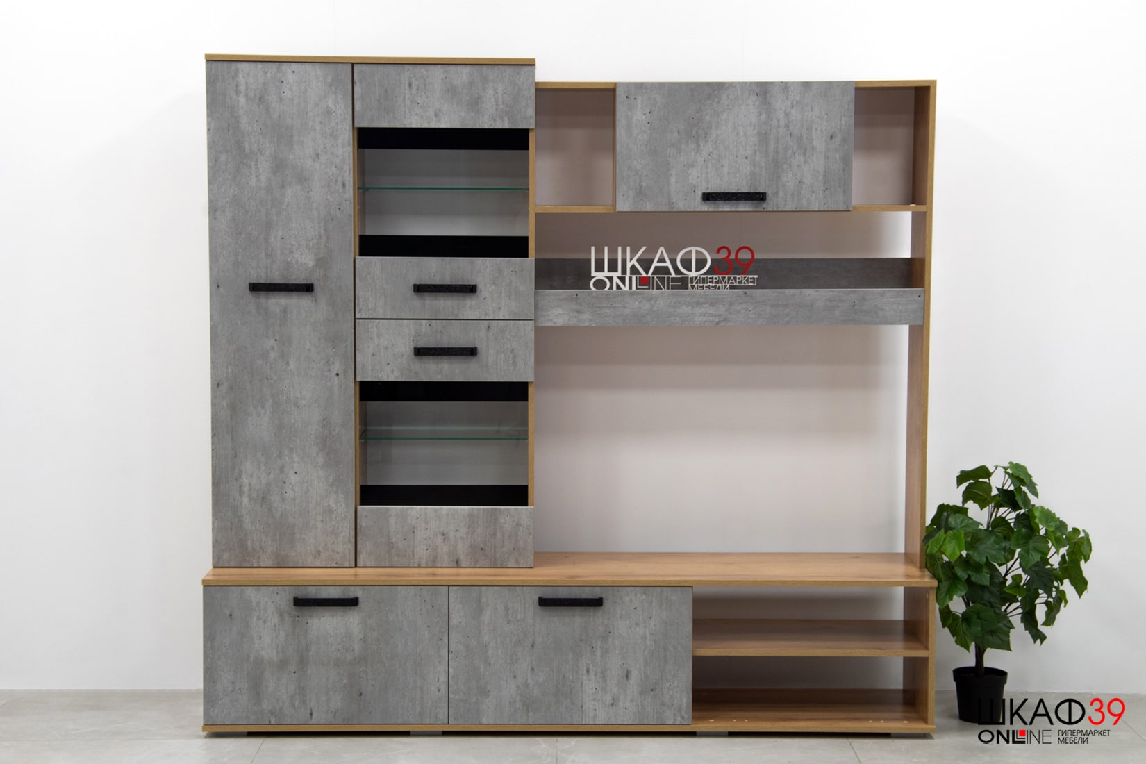 Трамп ЦС-05 Центральная секция