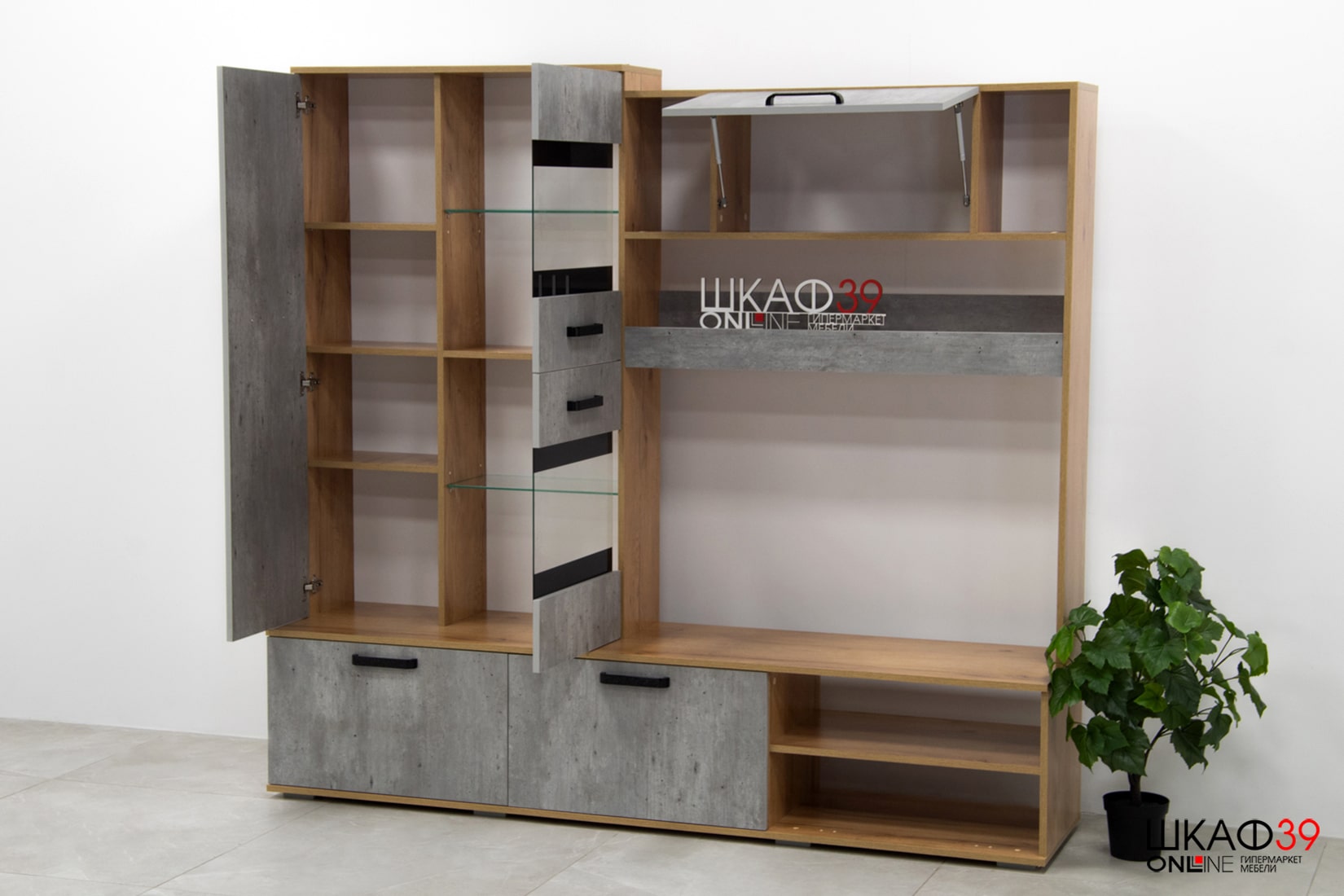 Трамп ЦС-05 Центральная секция