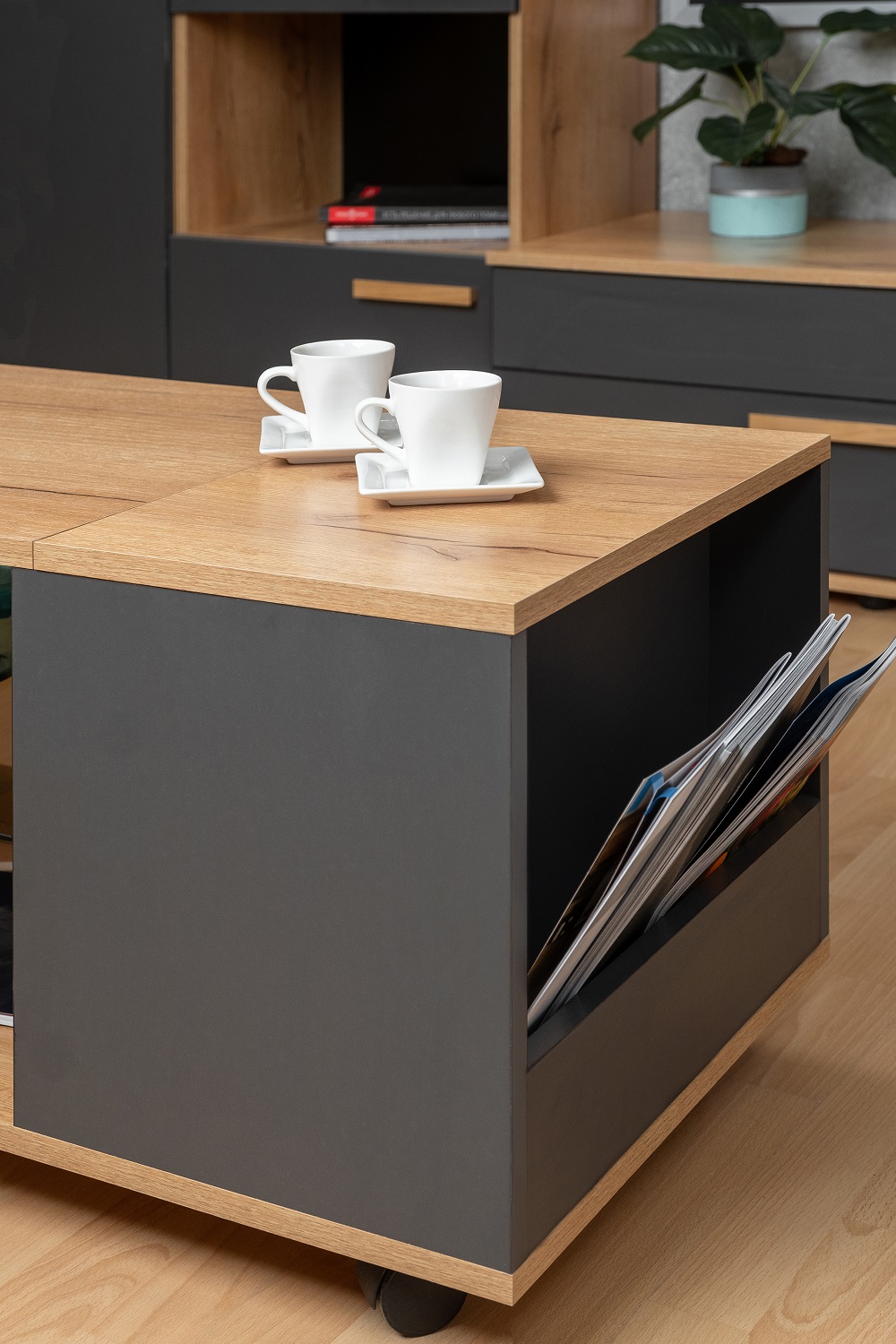 Crown Гостиная Комплект 1 Дуб золотистый/Графит