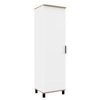 Шкаф для одежды Джуна ДЖ-3