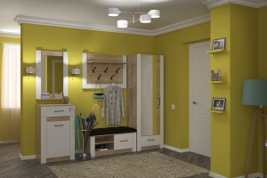 Ева 5 Комплект 2 Прихожая Белый/Дуб Ирландский