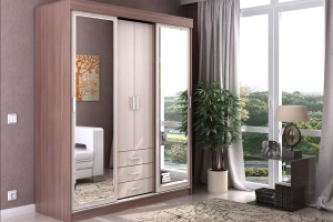 Андрей-2 Шкаф-купе (170) ясень шимо темный/ясень шимо светлый