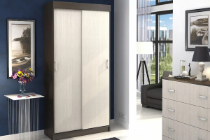 Андрей-Эконом (евро) Шкаф-купе венге/дуб белфорд