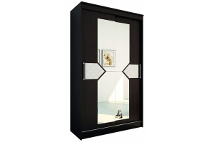 Шкаф-купе Николь 2-х дверный Венге