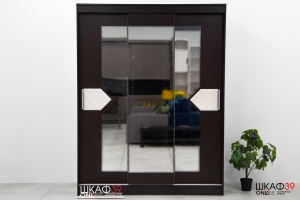 Шкаф-купе Николь 3-х дверный Венге