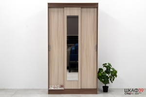 Шкаф-купе с зеркалом ЭКО Ясень шимо