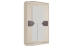 Шкаф-купе Николь 2-х дверный Ясень шимо светлый