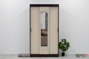 Шкаф-купе с зеркалом ЭКО Венге/лоредо