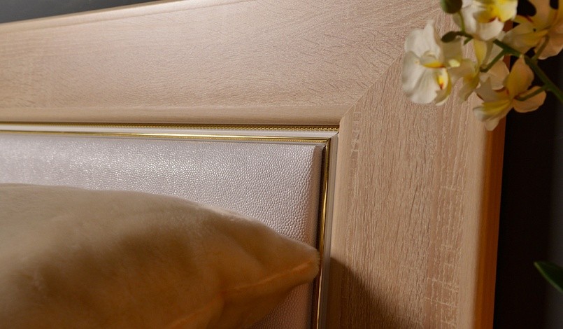 Кровать с подъемным механизмом Ника Н19 160х200