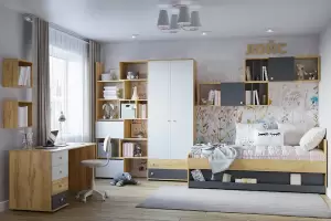 Лойс Молодежная комната Дуб золотистый/Графит/Белый