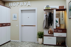 Шкаф МЦН Норвуд 70