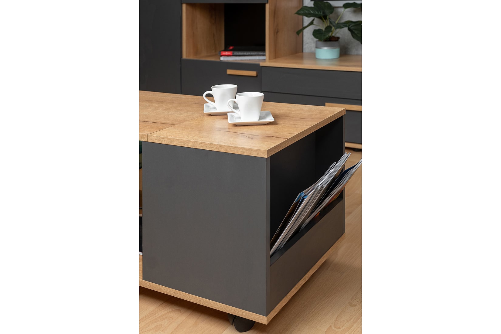 Crown гостиная модульная Дуб золотистый/Графит