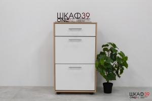 ТП-2 Обувница Сонома/Белый