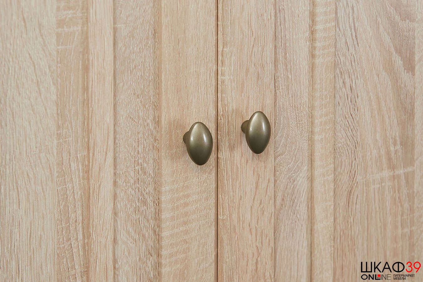 Шкаф распашной для одежды Sherlock 62, дуб сонома
