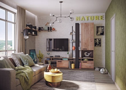 Nature Гостиная Комплект 1