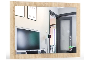 Камелия Зеркало Дуб сонома