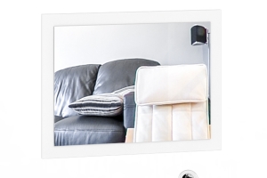 Камелия Зеркало Белый