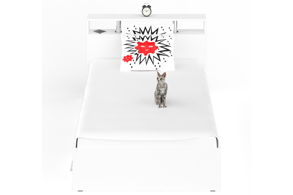 Камелия Кровать 120 с ящиками Белый