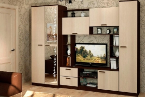 Стенка в гостиную Флора, венге