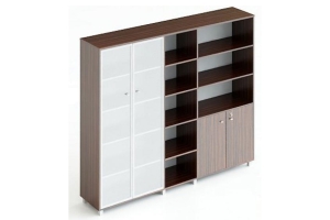 PREMIER/LUX Шкаф <260/5>PM/Lux L238xH190xS45 комбинир.